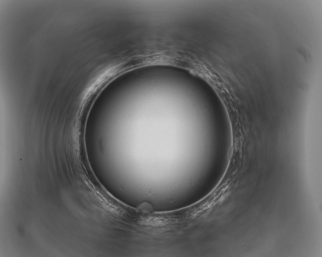 X0000112050341200908111355