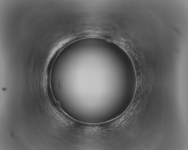 X0000112050342200908111355