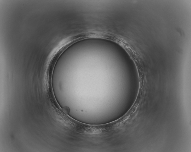 X0000112050343200908111355