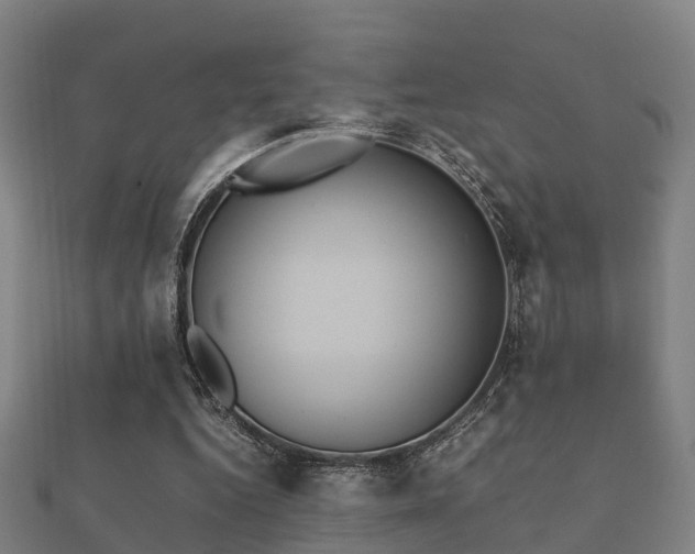 X0000112050344200908111355