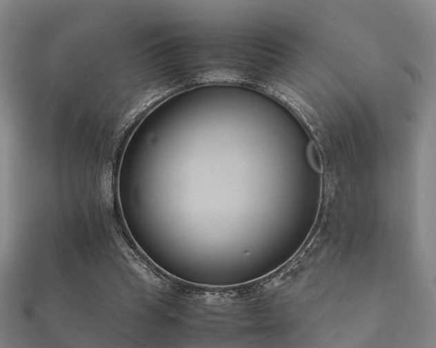 X0000112050345200908111355