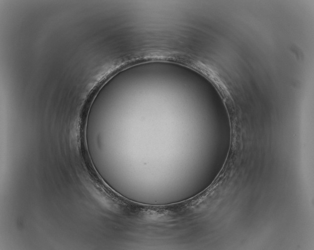 X0000112050346200908111355