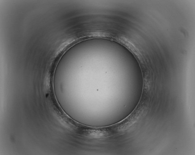 X0000112050347200908111355