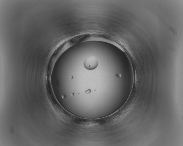 X0000112050348200908111355