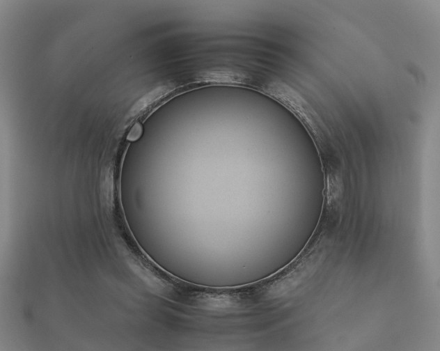 X0000112050349200908111355