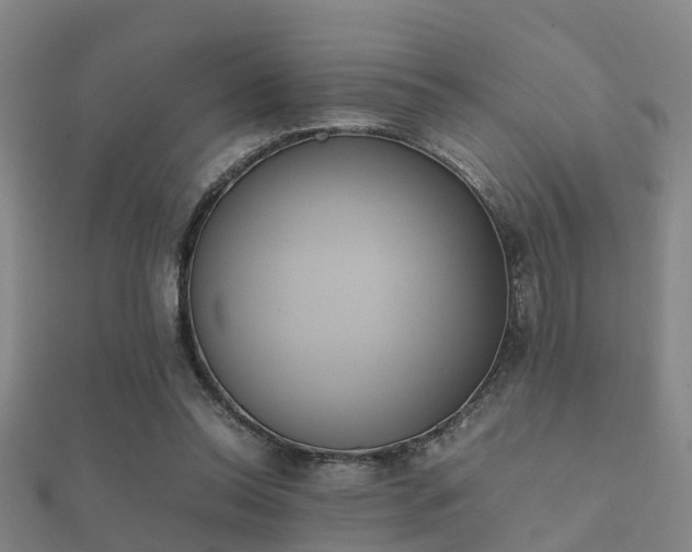 X0000112050350200908111355