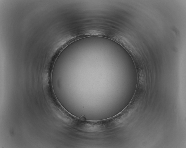 X0000112050351200908111355