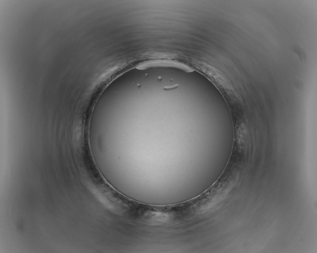 X0000112050352200908111355