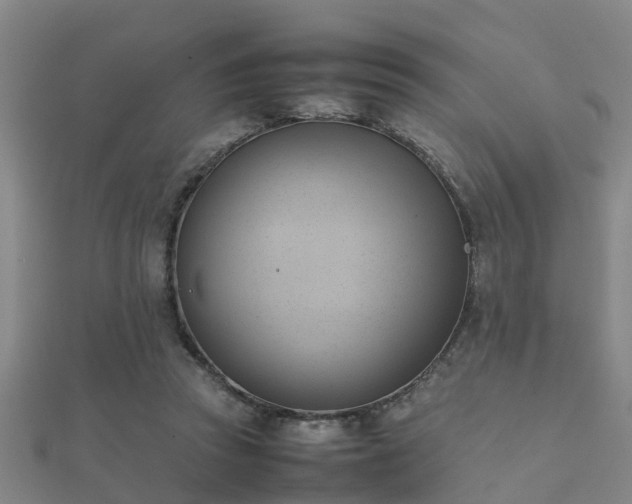 X0000112050353200908111355