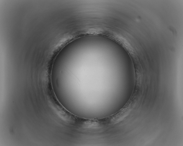 X0000112050354200908111355