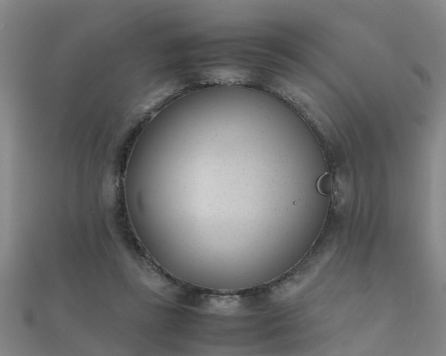 X0000112050355200908111355