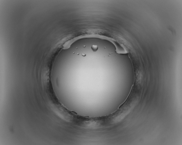 X0000112050356200908111355