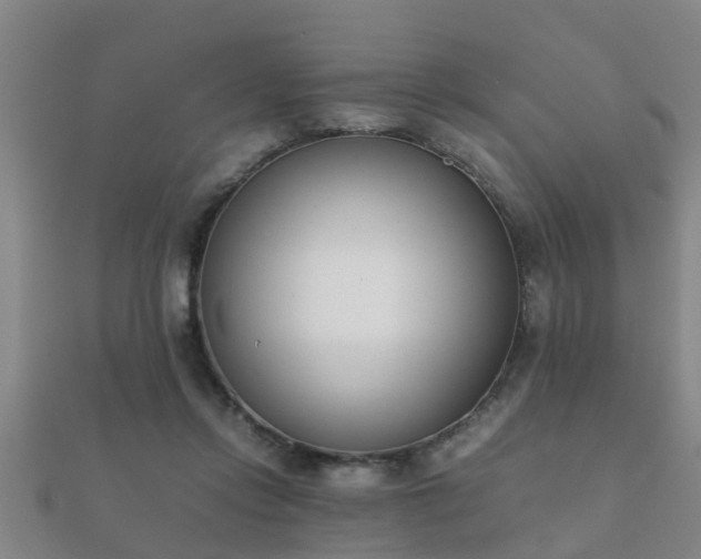 X0000112050358200908111355