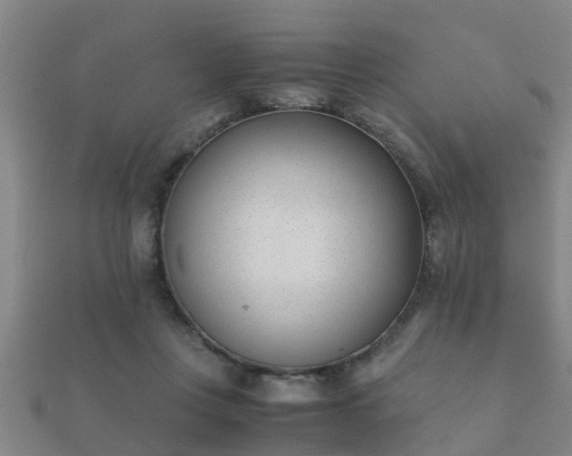 X0000112050359200908111355