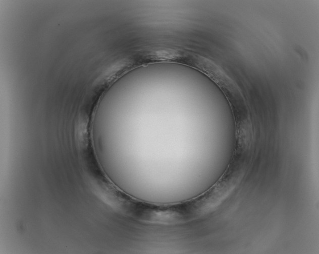 X0000112050360200908111355