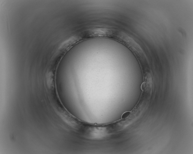 X0000112050361200908111355