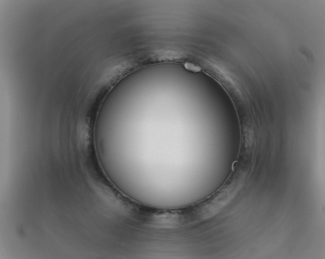 X0000112050362200908111355