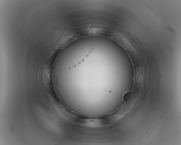 X0000112050363200908111355