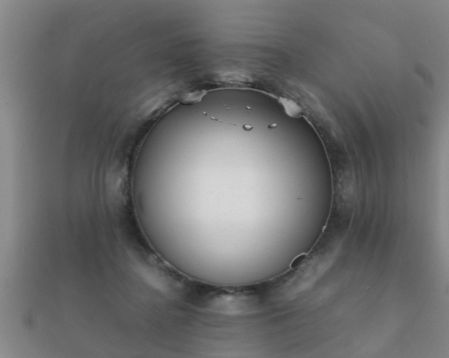 X0000112050364200908111355