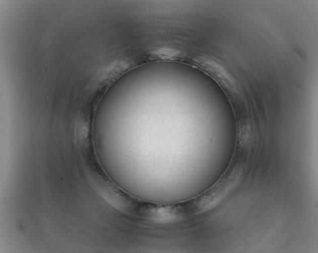 X0000112050365200908111355