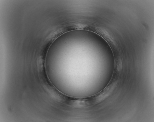 X0000112050366200908111355