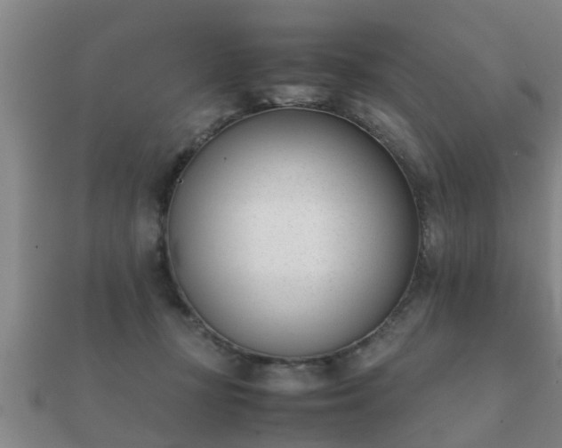 X0000112050367200908111355