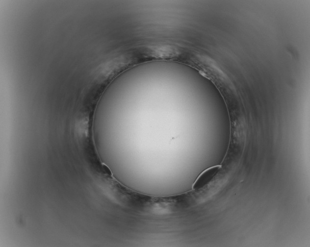 X0000112050368200908111355