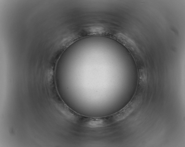 X0000112050369200908111355