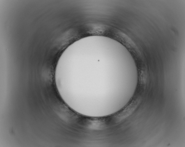 X0000112050370200908111355