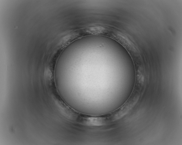 X0000112050371200908111355