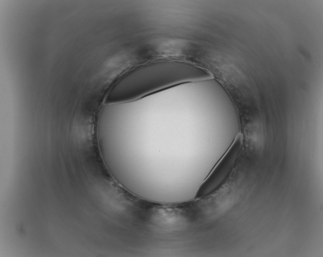 X0000112050372200908111355