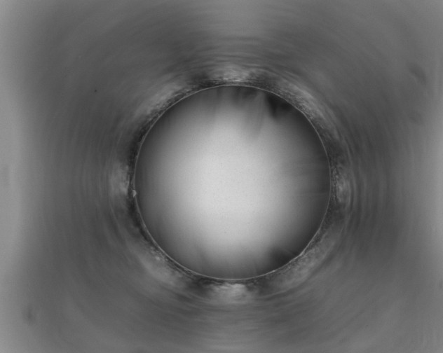 X0000112050374200908111355