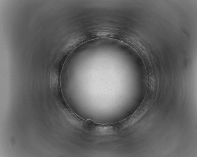 X0000112050375200908111355