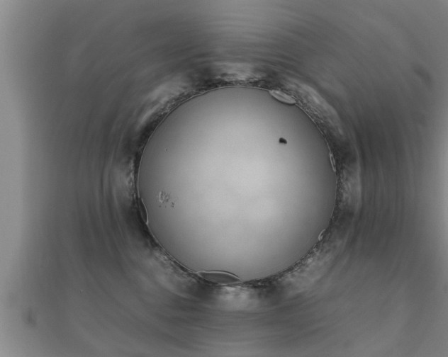 X0000112050376200908111355