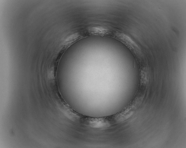 X0000112050377200908111355