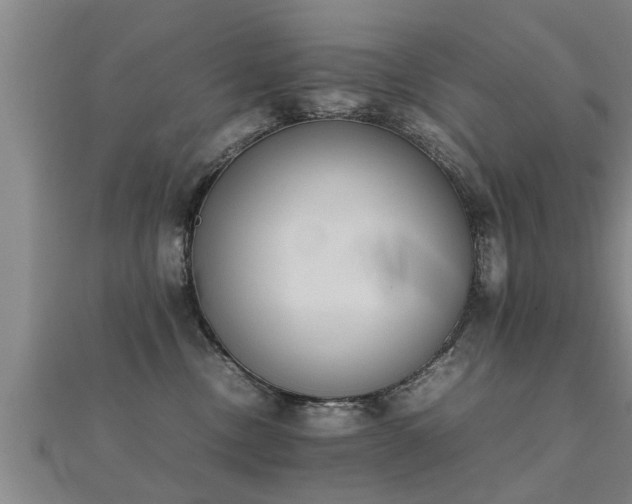 X0000112050378200908111355