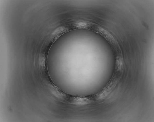 X0000112050379200908111355