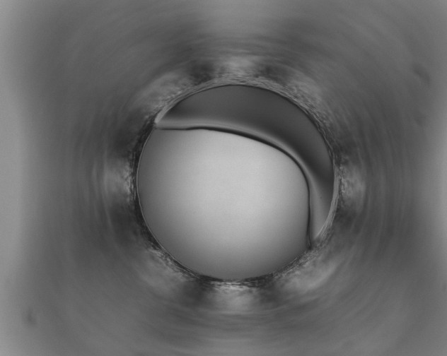 X0000112050380200908111355