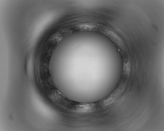 X0000112050381200908111356