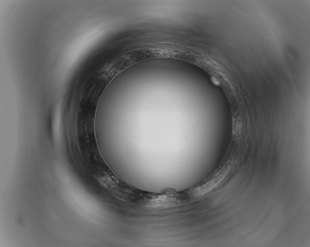 X0000112050382200908111356