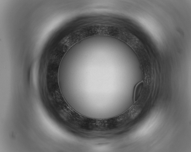 X0000112050383200908111356