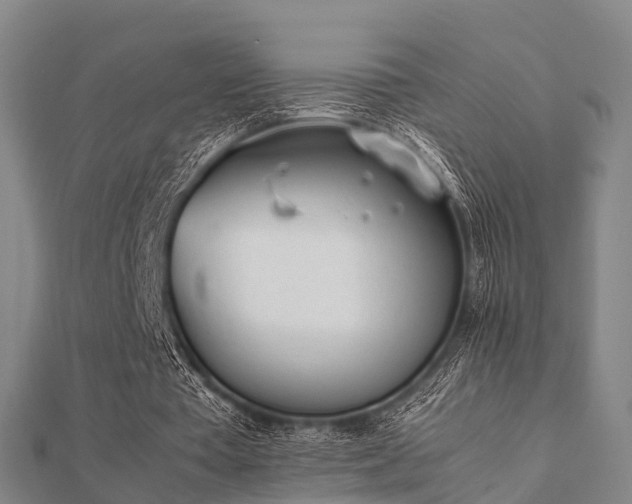 X0000112050385200908111355