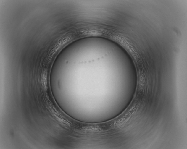 X0000112050386200908111355