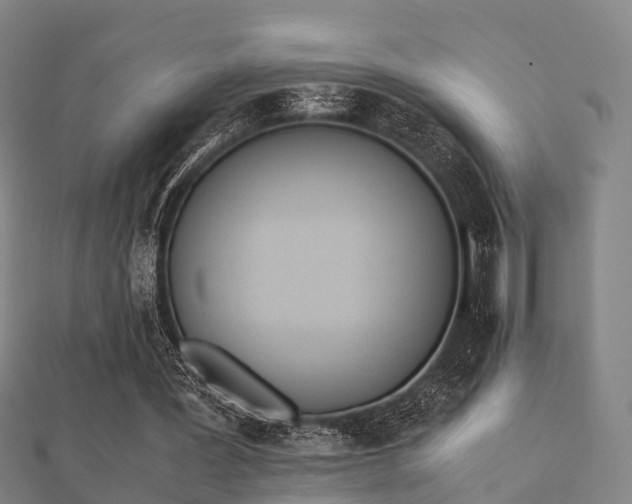 X0000112050387200908111355