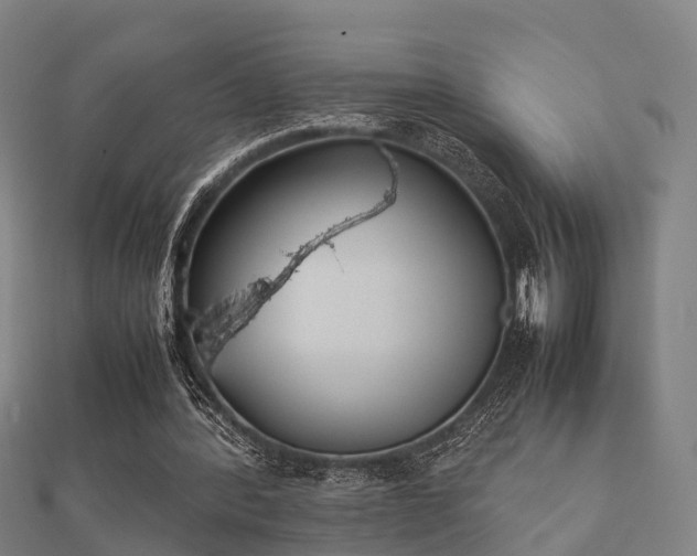 X0000112050388200908111355