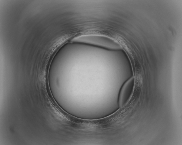 X0000112050389200908111355