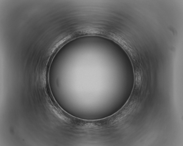 X0000112050390200908111355