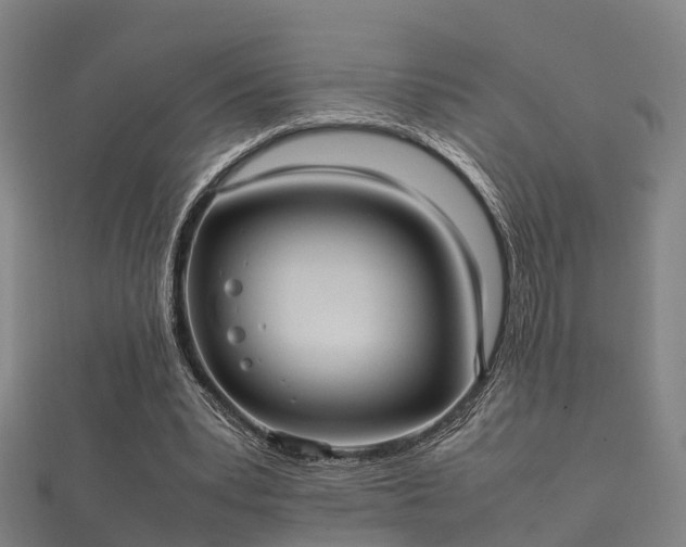 X0000112050391200908111355