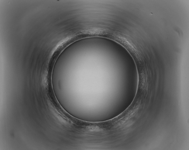 X0000112050392200908111354