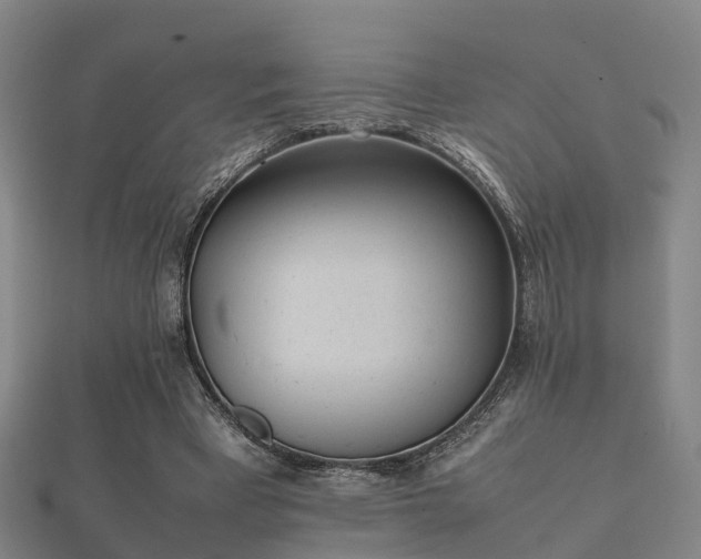 X0000112050393200908111354